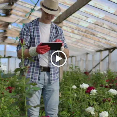 Marek Mężyk Ekspert Finansowy